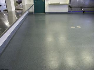  Epoxy With Chroma Quratz in Commercial Kitchen  