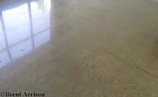  Polished Concrete in Waiting Room  