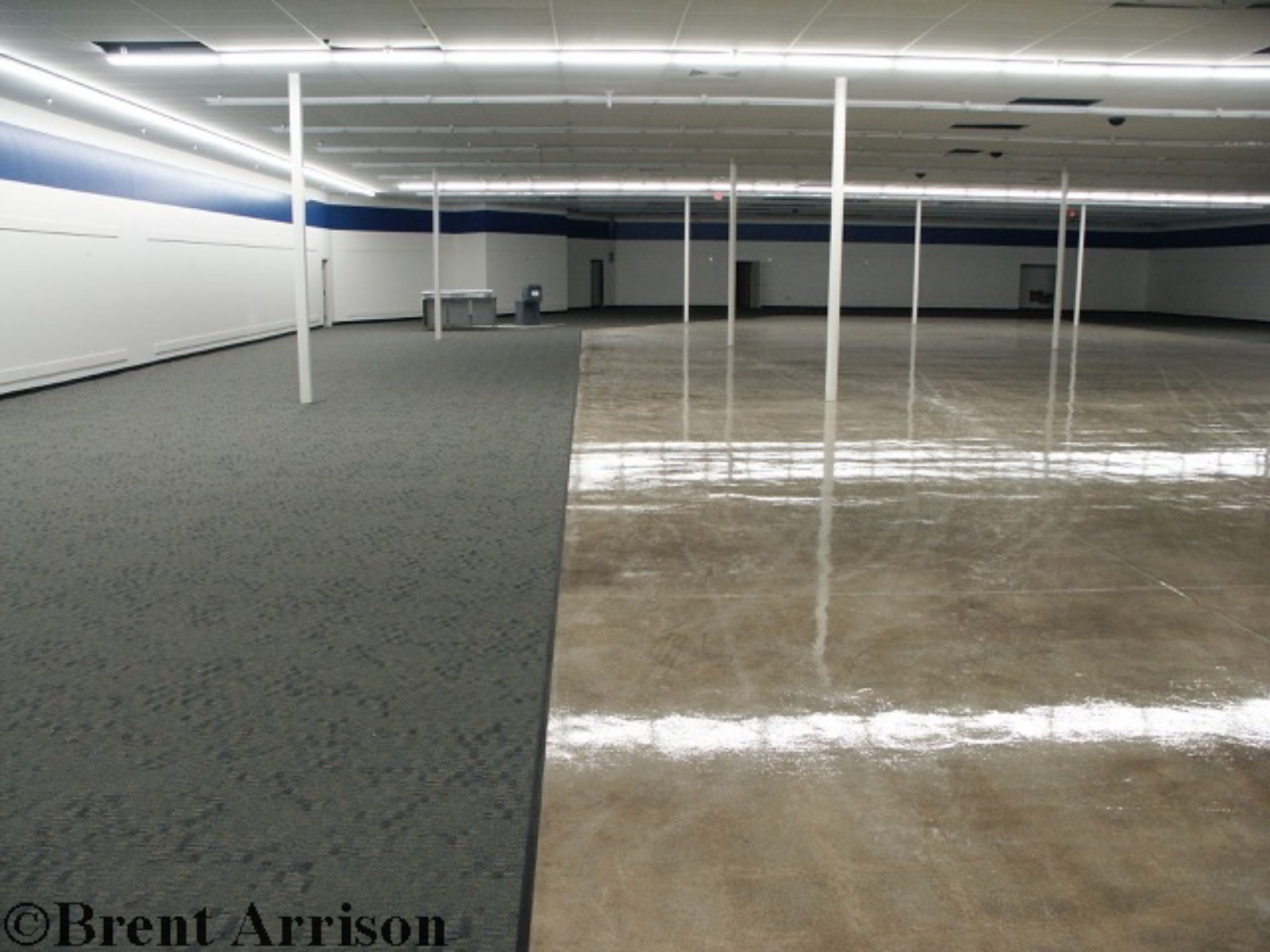  Glue down Carpet in Retail Sales area  