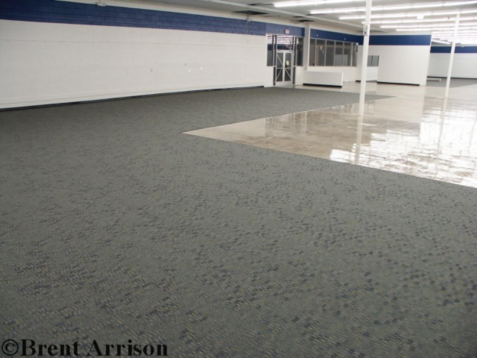  Glue down Carpet in Retail Sales area  