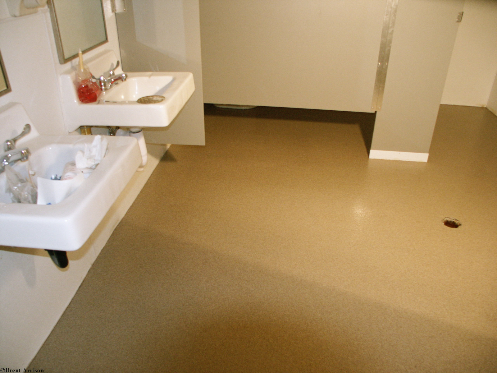  Epoxy With Chroma Quratz in Rest Room   
