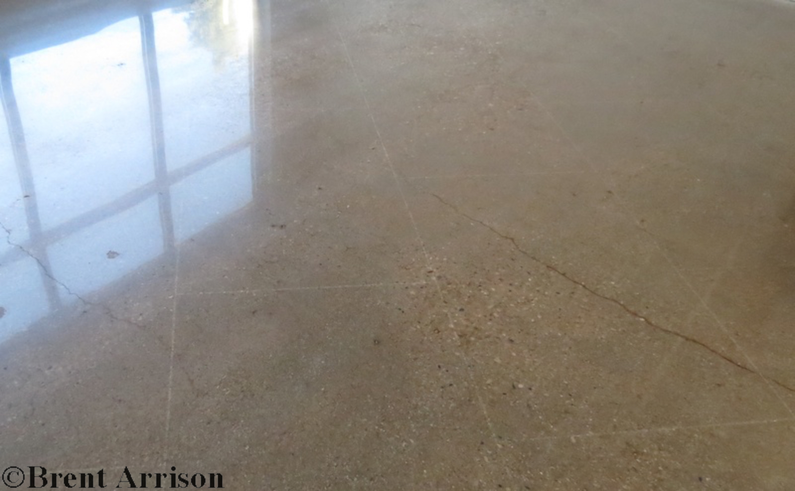  Polished Concrete in Waiting Room  