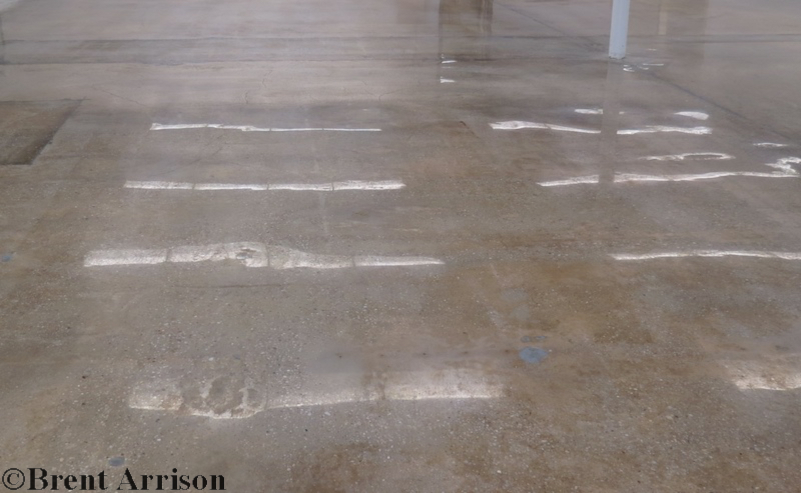  Polished Concrete in Retail Sales area  