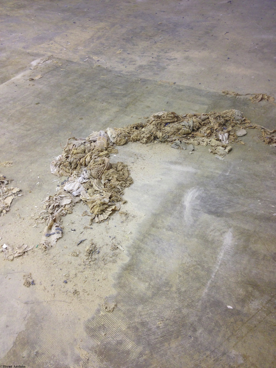  Glue removal in Retail Sales area  