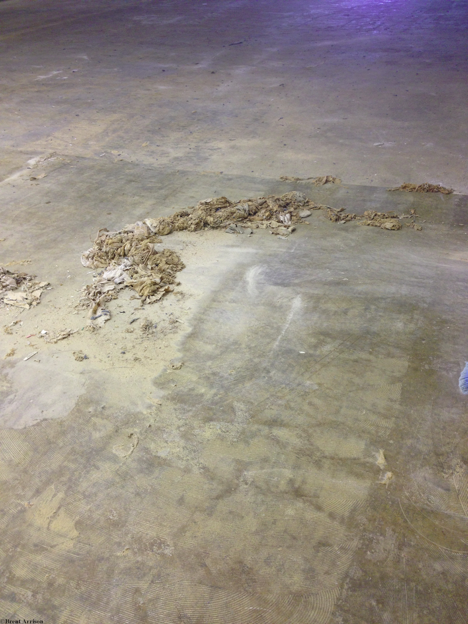  Glue removal in Retail Sales area  